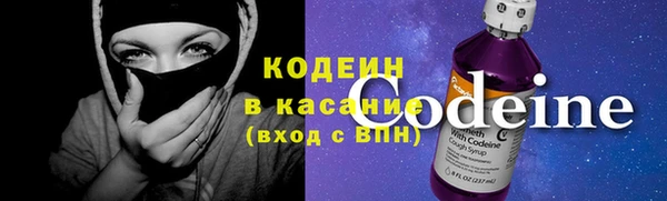 амф Няндома