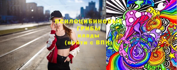 амф Няндома
