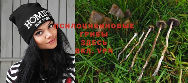 амф Няндома