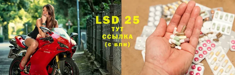 магазин    Котельнич  LSD-25 экстази ecstasy 