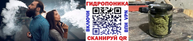 Бошки марихуана индика  продажа наркотиков  KRAKEN сайт  shop состав  Котельнич 
